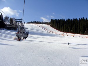 Kotelnica białczańska