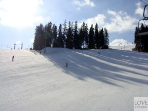 Kotelnica białczańska