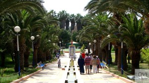 Dolina ptaków Agadir