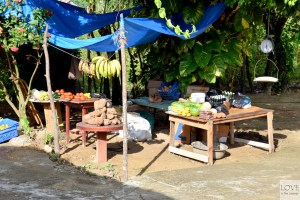 dary dominikańskiej ziemi