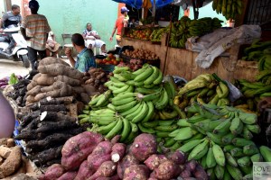Owoce na targu w Higuey