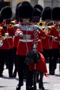 zmiana wart- Pałac Buckingham