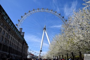 London Eye
