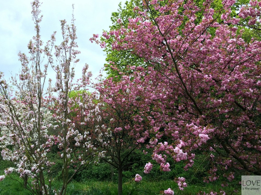 Londyn'16 (111814) (lita)