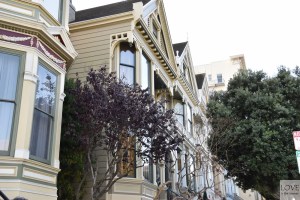 Painted ladies - San Francisco