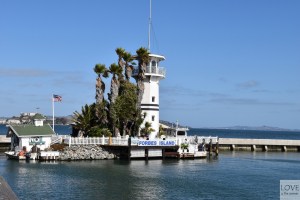 Pier 39 - San Francisco