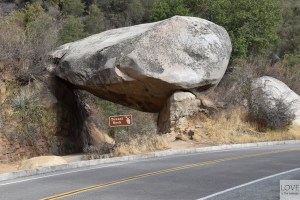 Sequoia National Park