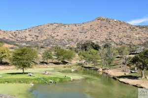 Zoo Safari San Diego