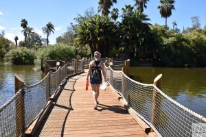 Zoo Safari San Diego