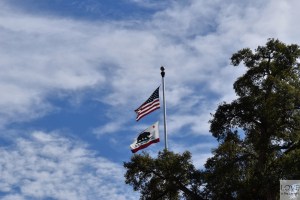 Flaga USA i Kalifornii