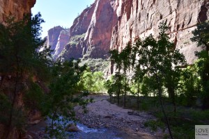 Zion Park
