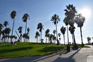 nadmorskie klimaty Los Angeles