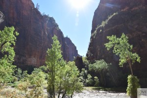Zion National Park
