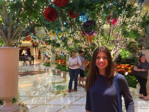 Cudowne ogrody w Las Vegas