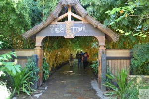 San Diego Zoo Safari Park - Tiger Trail