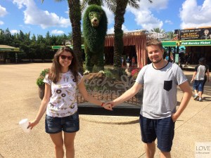 Busch Garden - Tampa