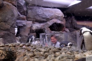 Georgia Aquarium, Atlanta