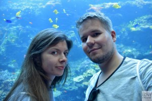 love is the answer w Georgia Aquarium, Atlanta