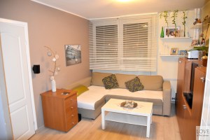 Salon przed rewolucją