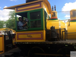 Kolejką przez sawannę w Tampie