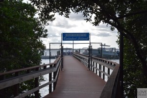 Prom na Caladesi Island