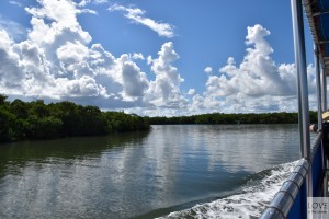 w drodze na Caladesi Island