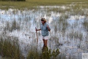 Pasjonujące ciekawostki w Everglades