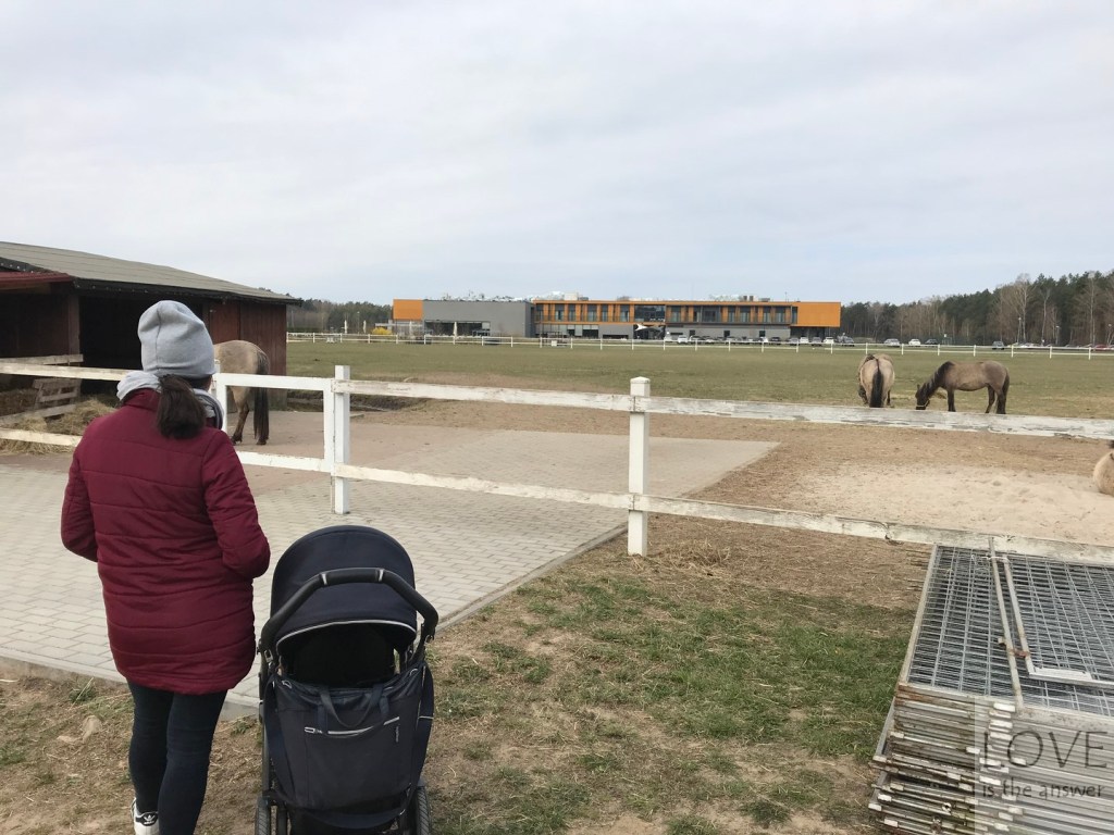 Konie przed hotelem Bonifacio