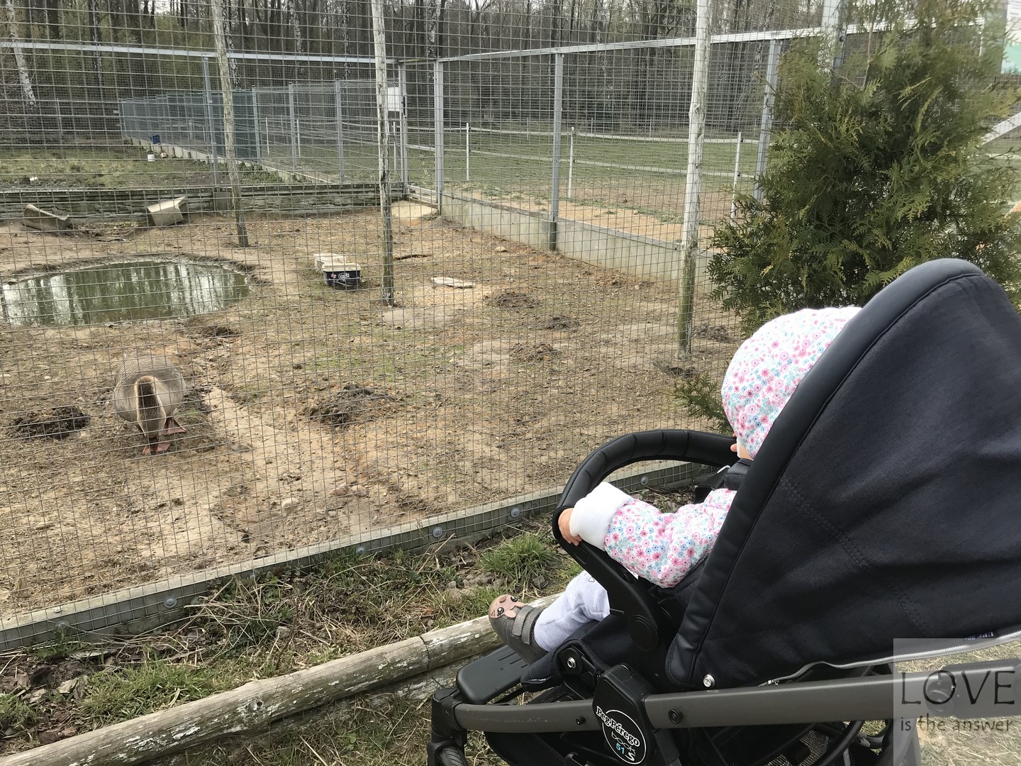 Mini ZOO Hotel Bonifacio